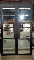 Porte battante simple en acier galvanisé de style français avec intérieur noir pour salon, salle à manger, atelier, salle de bain, cave à vin