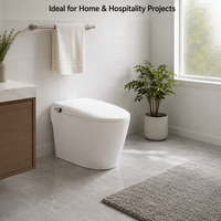 WC intelligent en céramique au design moderne, chasse d'eau à air comprimé, sans électricité, à siphon, monobloc, bidet, nettoyage des fesses, vente en gros