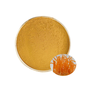 ผงสารสกัดคอร์ไดเซปส์ มิลิทาริส บริสุทธิ์ 0.5%-1% คอร์ไดเซปิน สำหรับใช้ในอาหารและผลิตภัณฑ์เสริมอาหาร - Product Image 1