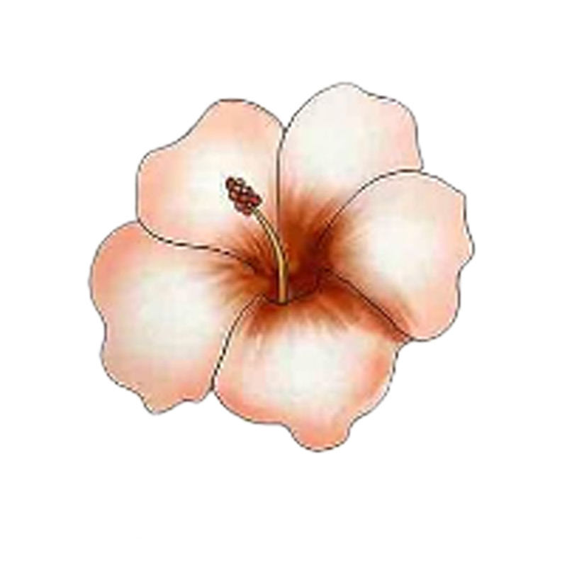 Style de fleur d'hibiscus