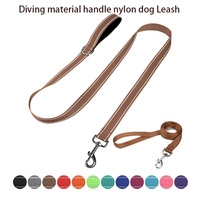 Individuelles Markenlogo OEM Reflektierende Nylon-Hundeleine mit Weichem Neopren-Gepolstertem Griff, Robust für Mittelgroße bis Große Hunde