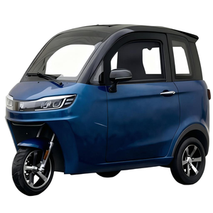 Tricycle électrique fermé avec cabine, <span class=keywords><strong>scooter</strong></span> électrique à <span class=keywords><strong>3</strong></span> <span class=keywords><strong>roues</strong></span>, mobilité, vitesse de 25 km/h, pour personnes âgées, pas besoin de <span class=keywords><strong>permis</strong></span> de conduire - Product Image 1