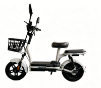 Nouveau vélo électrique standard national avec batterie au plomb 48V, vélo de banlieue pour adultes avec panier et siège arrière