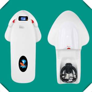 Panneau de Ski à <span class=keywords><strong>Jet</strong></span> électrique, accessoire de corps, Portable, verni ue, pour le confort de l'eau - Product Image 2