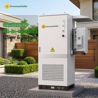 OEM 125KW Solis Hybride Onduleur Solaire Triphasé 261KWH 832V Armoire de Batterie LiFePO4 à Refroidissement Liquide avec Communication CAN