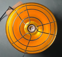 Lampe chauffante infrarouge haute puissance pour porcelets 110V-220V à prix d'usine - Lampe de couvaison pour bétail avec dissipateur de chaleur en aluminium