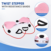 Mini stepper avec bandes de résistance, équipement de fitness cardio pour la maison, pour un entraînement complet du corps