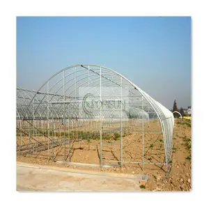 Single-Span Tree Hail Proof Hydroponics Sưởi Ấm Pcm Cây Giống Phát Triển Nhà Xanh Bìa Kỹ Thuật Nhôm Nhà Kính