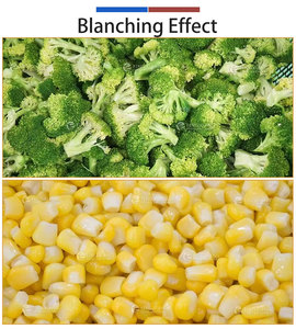 Machine industrielle de blanchiment des fruits et légumes en acier inoxydable 304, pompe moteur, capacité 1,5 t/h pour pommes de terre, gingembre, maïs, légumes verts - Product Image 5