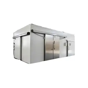 Minus 18 Degree Customized Cold Storage Room 6*6*2.7m Walker in Freezer 3PH 220V 60HZ For Meat