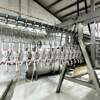 Ligne de traitement automatique de la volaille, équipement complet d'abattage pour l'abattage de poulets, canards et oies