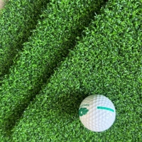 Simulateur de golf d'intérieur, gazon artificiel pour putting green, surface de golf pour salle d'entraînement, bureau, maison, entraînement
