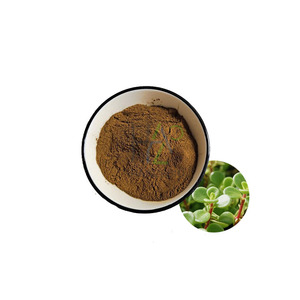 <strong>Bacopa</strong> Monnieri Powder <strong>20</strong>% <strong>Bacopa</strong> <strong>Extract</strong> <strong>Bacopa</strong> Monnieri <strong>Extract</strong> Powder - Product Image 1