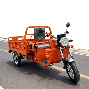 Chargeur de batterie personnalisé 60V grande capacité 1000W pour <span class=keywords><strong>tricycle</strong></span> <span class=keywords><strong>électrique</strong></span> à trois roues avec moteur central et boîte de chargement pour adultes - Product Image 3