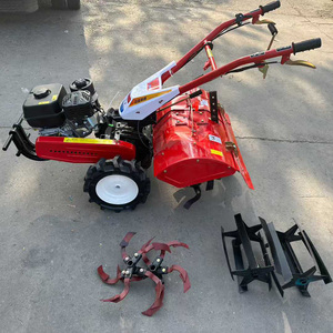 Motoculteur <span class=keywords><strong>à</strong></span> essence haute efficacité avec lame rotative pour serres et terres agricoles - Product Image 2