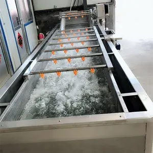 Industrial Commercial Fruit Washing Machine For Fruits And Vegetable with Good Price