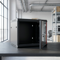 Kabinet Server Dinding Dua Bagian 19-inci 12U Hitam Buatan Zhejiang, Baja SPCC Cold Rolled, Standar ANSI/EIA RS-310-D ETSI