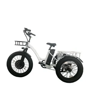 Adult using 48v 500w electric trycicles three fat wheel 20 inch folding bikes cargo model