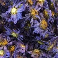 Té de Flores de Loto Azul Premium, Natural y Herbal, de Marca Privada OEM, Venta al Por Mayor de Fábrica China, Suplemento de Flores Secas Integrales