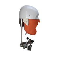 Modelo de Anatomía Humana, modelo estándar, simulador fantasma Dental extraíble e instalable, modelo Dental, molde de cabeza Dental para uso médico