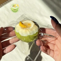 Jouet Squishy en Silicone en Forme de Noix de Coco à Remontée Lente, Anti-Stress Sensoriel Kawaii Unisexe, Cadeau pour 14 Ans et Plus, Vente en Gros