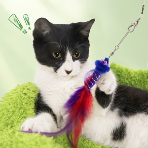 Tubo de malla elástica Genie Cat Teaser Refill Variety Pack, juguetes interactivos para gatos con forma de zanahoria, camarón, ratón, pez, <span class=keywords><strong>gusano</strong></span> y libélula - Product Image 5