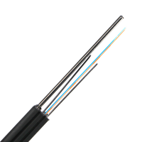 Cable de Fibra Óptica para Interiores y Exteriores GJYXCH FTTH de 2 Núcleos G652D con 3 Hilos de Acero de Protección, de China