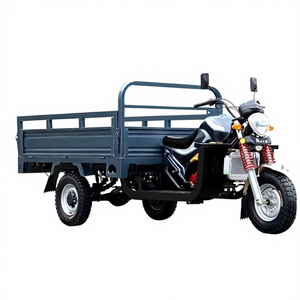 Motocicleta de Tres Ruedas Motorizada Personalizada con Eje Central, <span class=keywords><strong>Triciclo</strong></span> de Carga a Gasolina Golden Lion - Product Image 1