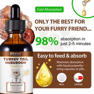 Oimmal Liquid Mushroom Drops <strong>Supplements</strong> 60ml <strong>Pet</strong> <strong>Supplement</strong> Immune Support Mushroom Liquid Drops - Product Image 6