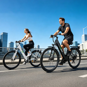 Bicicleta Eléctrica Económica de 250W para Adultos, 28 Pulgadas, Shimano 7 Velocidades, Bicicleta Eléctrica Urbana de China - Product Image 1