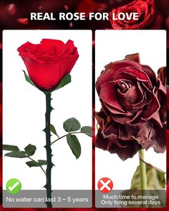 Rose préservée écologique faite à la main cadeaux de la Saint-Valentin rose rouge unique pour toujours pour les femmes maman grand-mère-cadeau de livraison Prime - Product Image 3