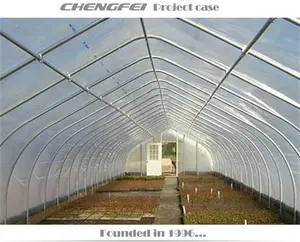 Agricultural farming gothic single-span hot-dip galvanized structure greenhouses hoops tunnel supplier for sale