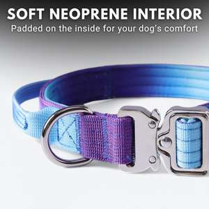 Collare e Guinzaglio per Cani JTPAWS in Nylon, Regolabile, Resistente, Facile da Maneggiare, Personalizzabile per Cani di Taglia Grande e Media - Product Image 4