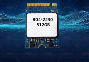 固态硬盘 M.2 手持式硬盘 相机 CFE 卡 BG4-2230 512GB - Product Image 4