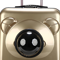 Valise de transport pour animaux de compagnie avec poignée télescopique, roues silencieuses à 360°, fenêtre dôme, couvercle en maille/acrylique zippé, 5 couleurs, pour voyage