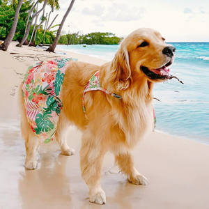 Pakaian renang anjing, gaya Hawaii, untuk pengambil emas, Teddy, anjing kecil, sedang, dan besar, pakaian pantai musim panas - Product Image 3