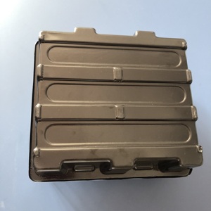 Boîte blister personnalisée en PET plateau pour semis <span class=keywords><strong>pot</strong></span> de <span class=keywords><strong>fleur</strong></span> en plastique succulent pour légumes avec couvercle boîte transparente - Product Image 6