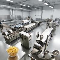 Machine industrielle de fabrication de chips de pommes de terre avec contrôle numérique de la température de l'huile pour une qualité de collation croustillante dorée et constante