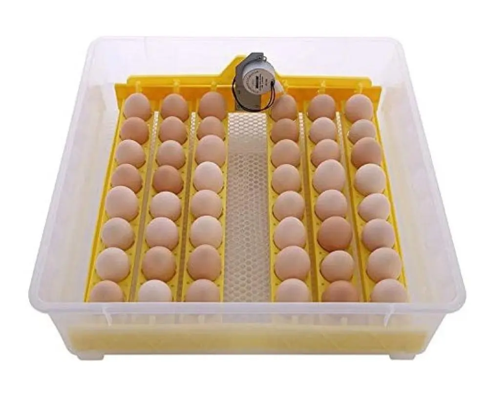 Инкубатор HHD 12. Mini Egg incubator на 12 яиц. Инкубатор желтый. Китайский инкубатор на 48 яиц.