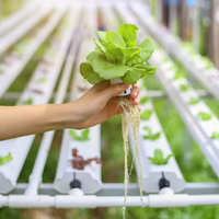 Système hydroponique vertical NFT de haute qualité avec pompe à canal PVC, haute productivité, irrigation automatique, longueur personnalisable