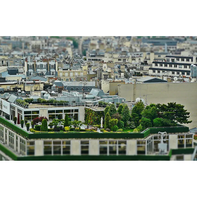सुंदर Parisian उत्तम डिजाइन DIY कस्टम अच्छी गुणवत्ता के साथ भीड़ छत उद्यान 5D हीरा पेंटिंग चीन शिल्प