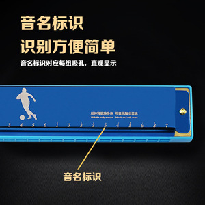 ฮาร์โมนิก้า Feifan 24 รู คีย์ C สำหรับผู้เริ่มต้นและนักเรียน เครื่องดนตรี - Product Image 2