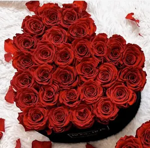 Sevgililer noel hediyesi kırmızı uzun ömürlü gül sonsuz sonsuzluk sonsuzluk sonsuza dek Enchanted ebedi çiçek güller kalp kutusu