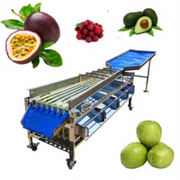 Hoge Kwaliteit Fruit Track Sorteermachine Voor Pruim Lychee Oranje Stro Champignon Ui Sorteermachine