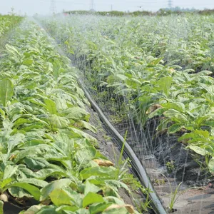 Systèmes d'irrigation micro tuyau de pulvérisation tuyau de pluie de la ferme et de l'agriculture