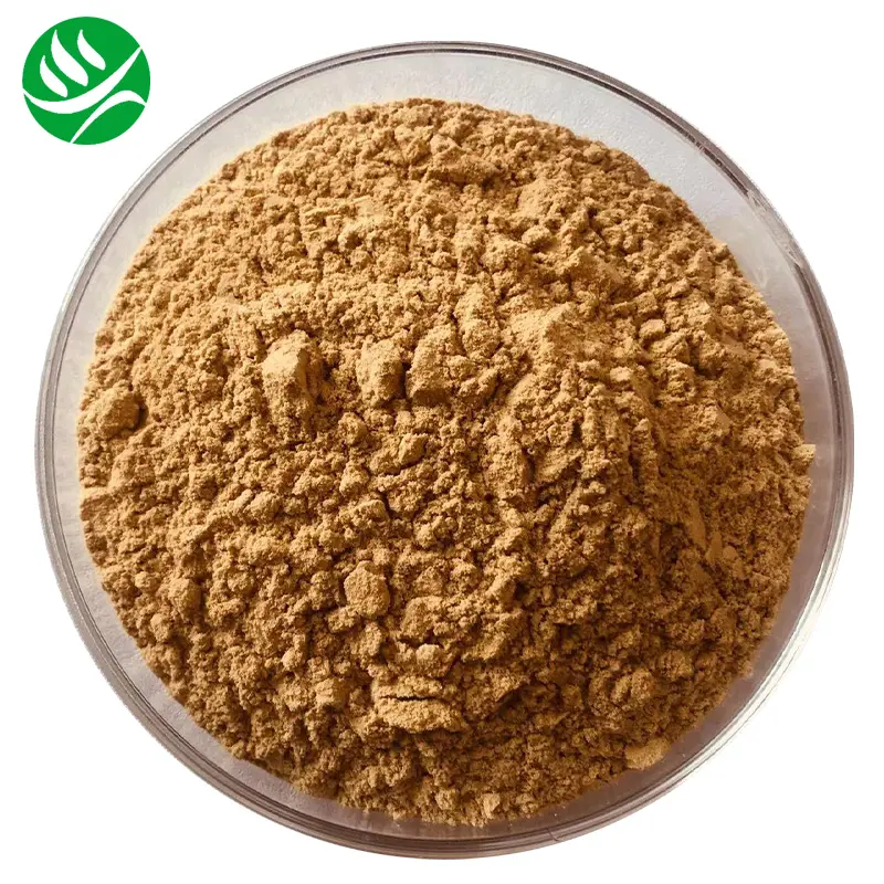 Hot Sale Oraganic Hawthorn Extract Powder 2% Vitexin Powder