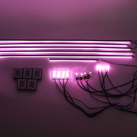 Lumières d'ambiance LED haut de gamme pour automobile RGB APP Control Couleurs illimitées Sortie 18 en 1 Lumière d'ambiance pour voiture
