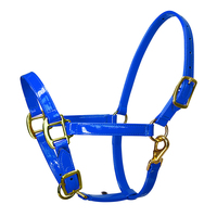Harnais pour cheval en cuir microfibre. 20 mm de large, deux couches. Imperméable, facile à nettoyer. Produit équin, équipement équestre. LT4009