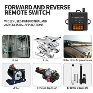 Sistem Kontrol Pengangkat <span class=keywords><strong>Hoist</strong></span> Nirkabel Mini DC 48V 10A dengan Remote Control Reversibel, Cocok untuk Motor DC Aktuator Linear - Product Image 5