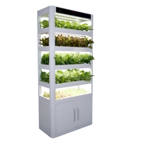 Serre intérieure automatique NFT, système hydroponique vertical, étagère de culture de graines de légumes multicouche